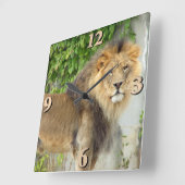 ライオンアットマサイマラ2 スクエア壁時計 (傾斜)