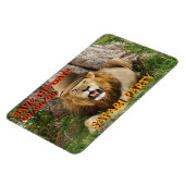 ライオンアットマサイ救マラ1日 マグネット (左側)