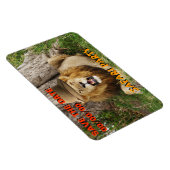 ライオンアットマサイ救マラ1日 マグネット (右側)