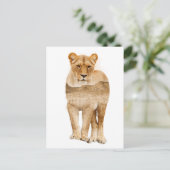 ライオンアフリカダブル露出はがき ポストカード (スタンド正面)