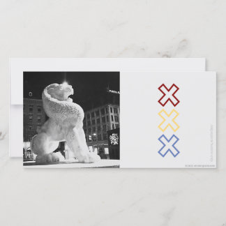 ライオンアムステルグラム