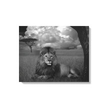 ライオンインザグラス