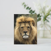 ライオンウォーターカラーポートレート ポストカード (スタンド正面)