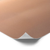 ライオンオンビーチ ポスター (角)