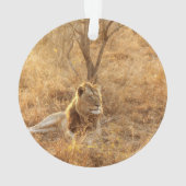 ライオンオーナメント オーナメント (裏面)