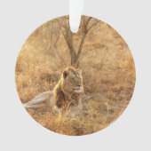 ライオンオーナメント オーナメント (正面)