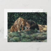 ライオンカドル葉書 ポストカード (正面/裏面)