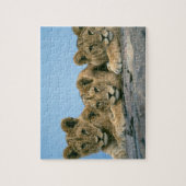 ライオンカブスパズル ジグソーパズル (縦)