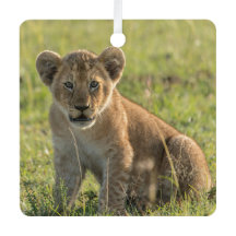 ライオンカブパーソナライズ名写真クリスマス