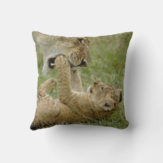 ライオンカブ遊ズ クッション (裏面)