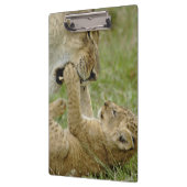 ライオンカブ遊ズ クリップボード (左)