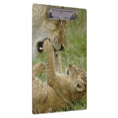 ライオンカブ遊ズ クリップボード (右)