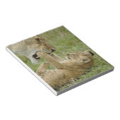 ライオンカブ遊ズ ノートパッド (アングル)