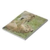 ライオンカブ遊ズ ノートパッド (回転)