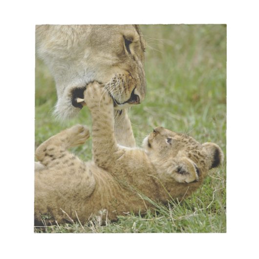 ライオンカブ遊ズ ノートパッド (正面)