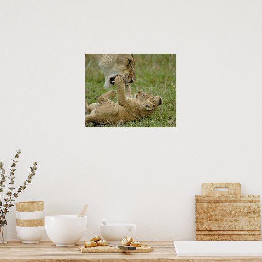 ライオンカブ遊ズ ポスター (キッチン)