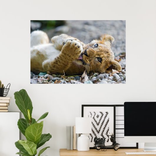 ライオンカブ2 ポスター (ホームオフィス)