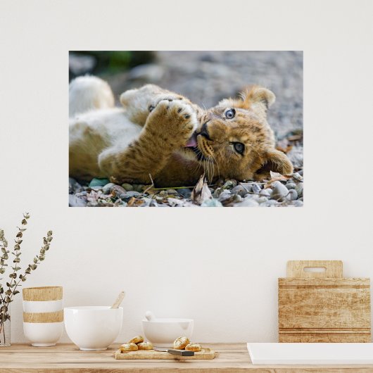 ライオンカブ2 ポスター (キッチン)