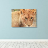 ライオンカブ キャンバスプリント (インサイチュ (ウッドフロア))