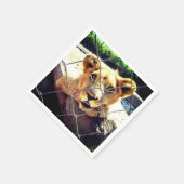 ライオンカブ スタンダードカクテルナプキン (角)