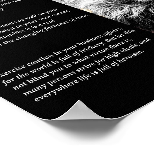 ライオンカブ ポスター (角)