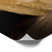 ライオンカブ ポスター (角)