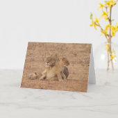 ライオンカード カード (黄色い花)