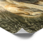 ライオンキスアートポスター/プリント ポスター (角)