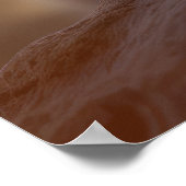 ライオンキューブワイルドアニマルウォーター穏やかな平和 ポスター (角)