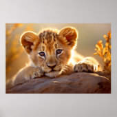 ライオンキューブワイルドアニマルウォーター穏やかな平和 ポスター (正面)