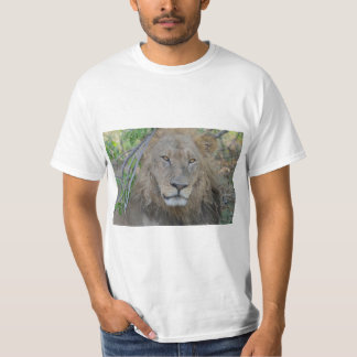 ライオンキング集中 Tシャツ