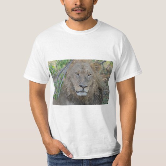 ライオンキング集中 Tシャツ (正面)