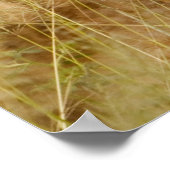 ライオンクブ&マザー ポスター (角)