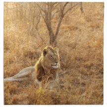 ライオンクロスナプキン