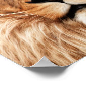 ライオンザキングフォト絵画ズ ポスター (角)