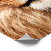 ライオンザキングフォト絵画ズ ポスター (角)