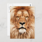 ライオンザキングフォト絵画ズ ポストカード (正面/裏面)