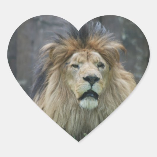 ライオンステッカー ハートシール (正面)