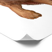 ライオンスモール ポスター (角)