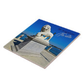 ライオンズの橋の大理石彫刻セントオーガスティン タイル (側面)