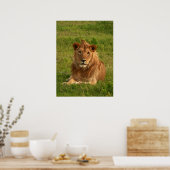 ライオンズアイ ポスター (キッチン)