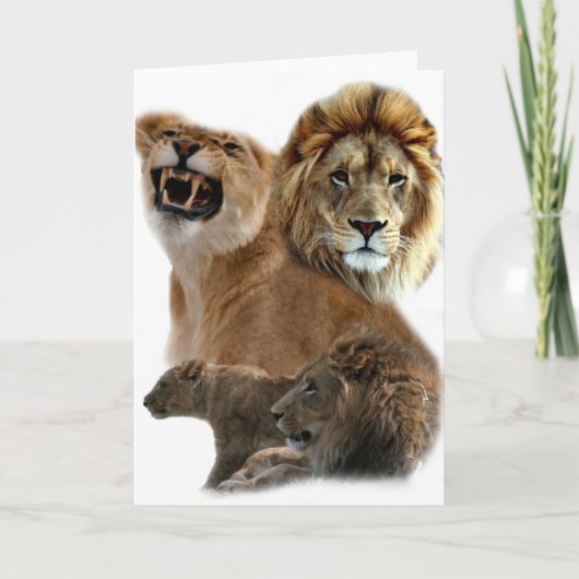 ライオンズプライド カード (正面)