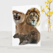 ライオンズプライド カード (黄色い花)