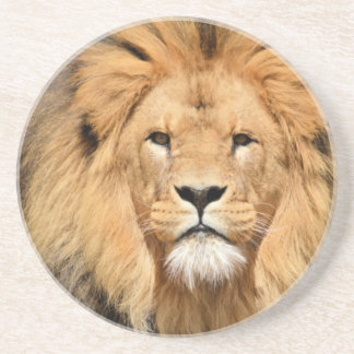 ライオンズヘッド コースター