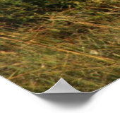 ライオンズポスター ポスター (角)