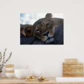 ライオンズポスター ポスター (キッチン)