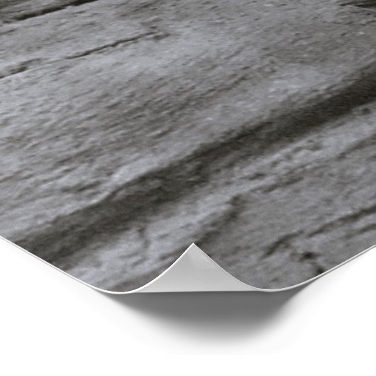 ライオンズポスター ポスター (角)