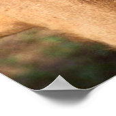 ライオンズポスター ポスター (角)