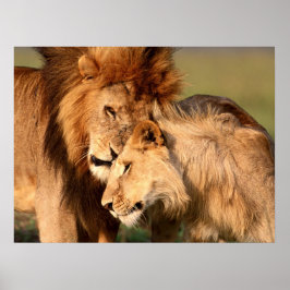 ライオンズポスター ポスター