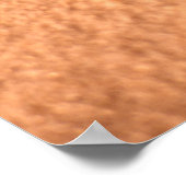 ライオンズポー ポスター (角)